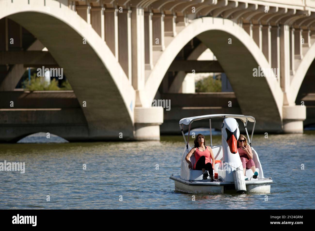 Le signore pagaiano in barca a cigno sul lago Tempe Town, Arizona Foto Stock