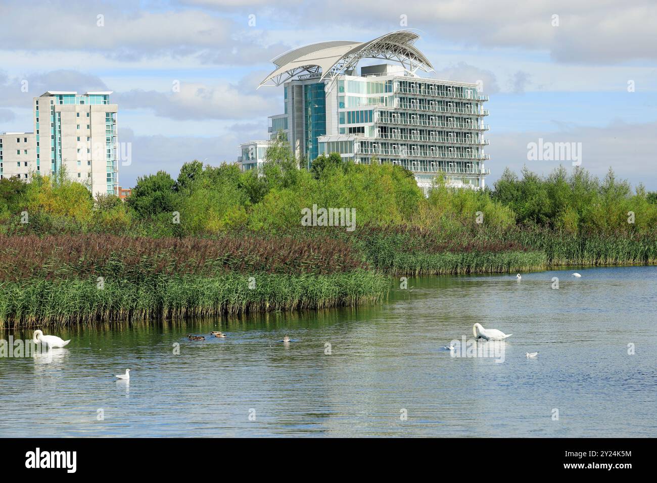 St David's Spa and Wetland Reserve, Cardiff Bay, Cardiff, Galles del Sud. Foto Stock