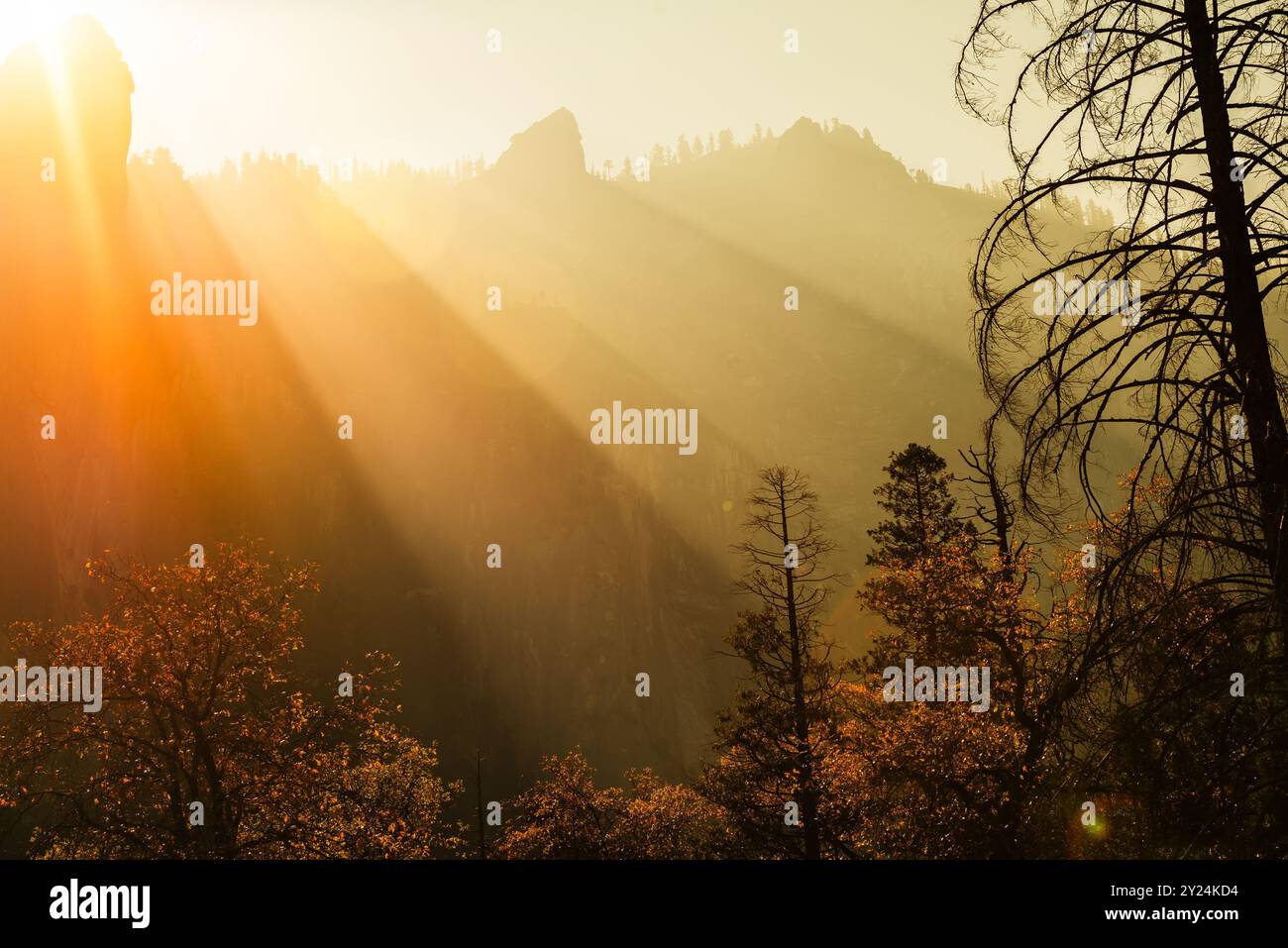 I raggi di sole dorati filtrano tra gli alberi, mentre il caldo bagliore sulla montagna Foto Stock
