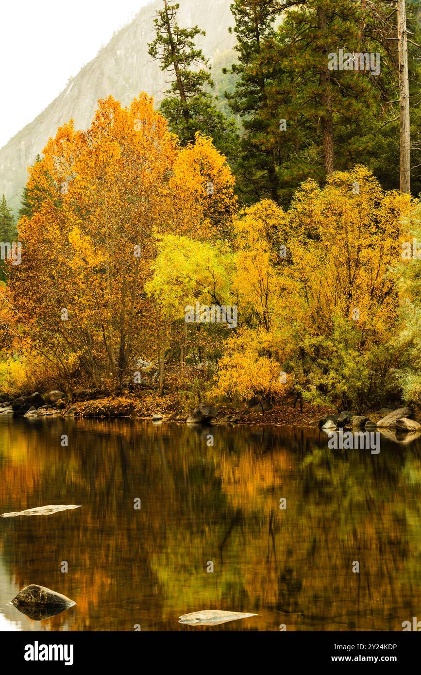 Gli alberi d'autunno dorati si riflettono con rocce e fogliame vibrante. Foto Stock