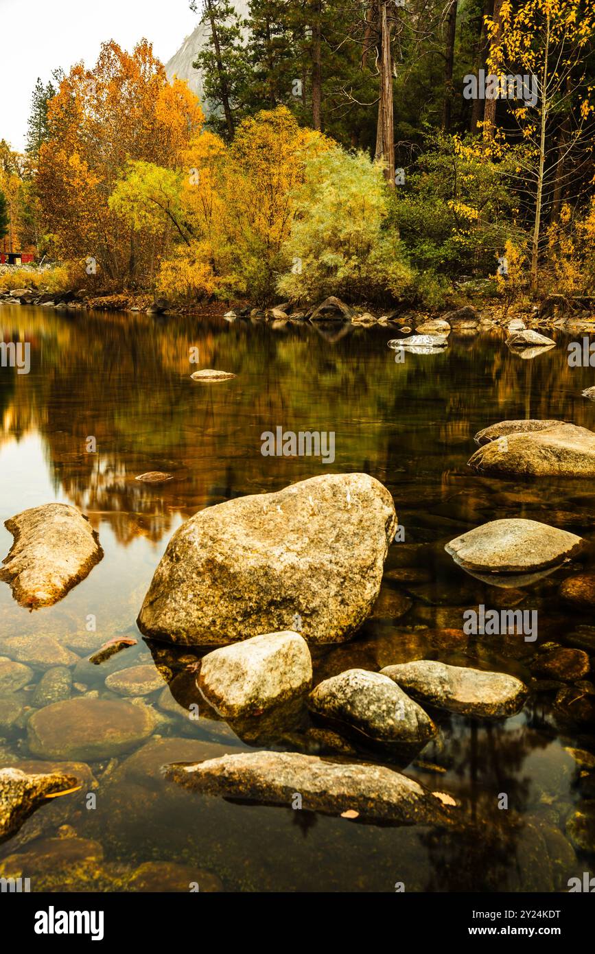 Alberi autunnali riflessi in acque calme, con rocce lungo il letto del fiume. Foto Stock