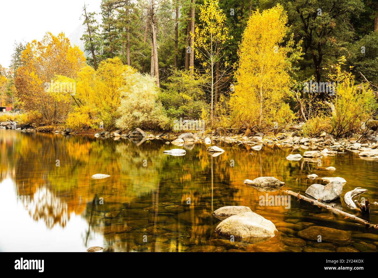 Gli alberi d'autunno dorati si riflettono in un fiume, creando una tranquilla scena autunnale. Foto Stock