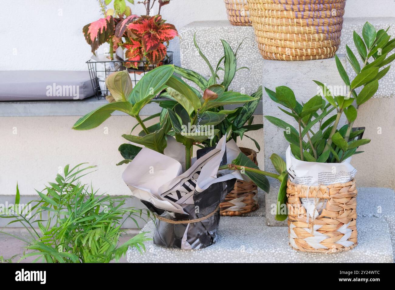 Negozio di fiori e mazzi. Vendita di fiori e regali per le vacanze. Foto Stock