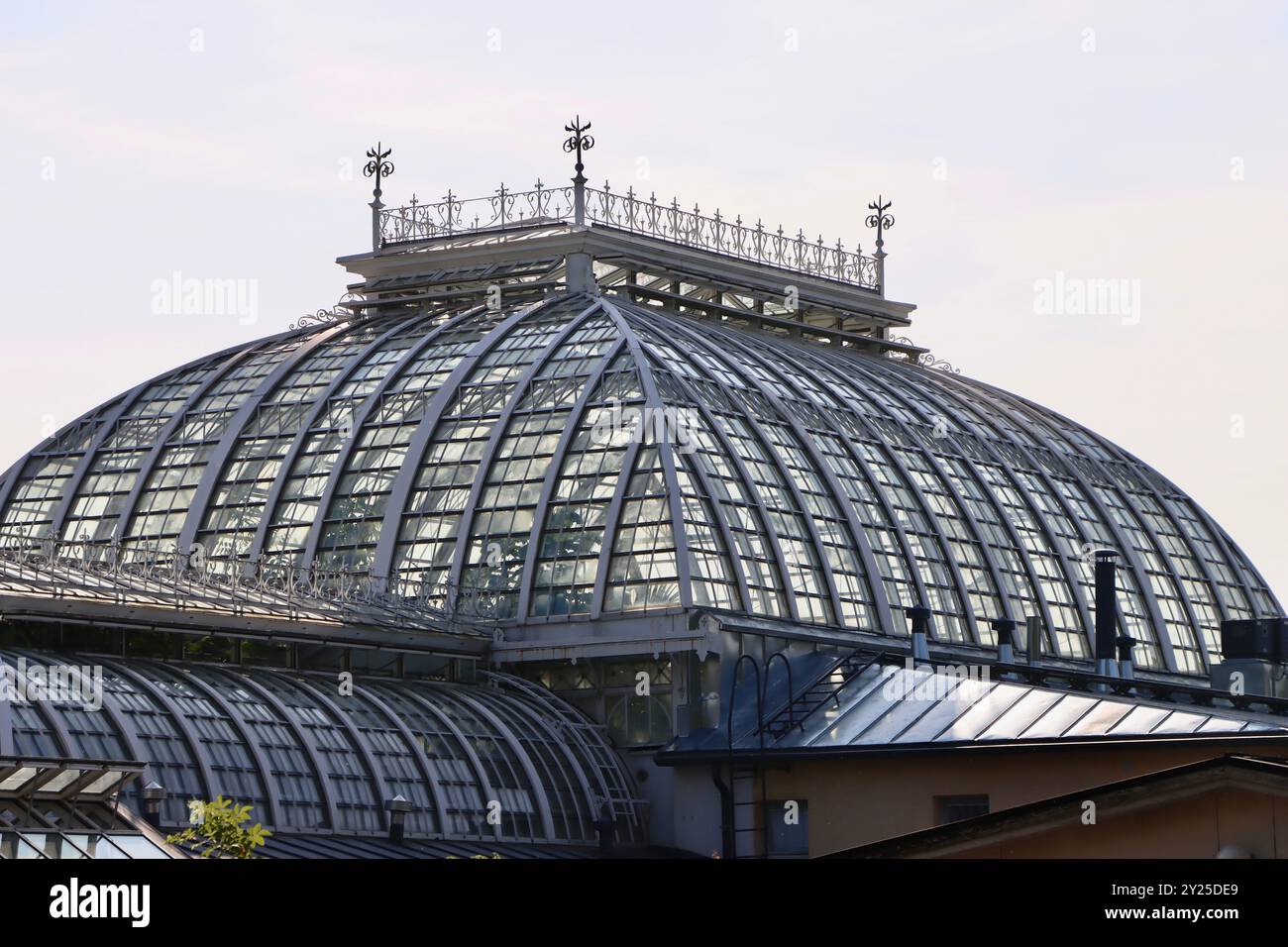 La cima delle case verdi del Giardino Botanico Kaisaniemi, Kaisaniemen kasvitieteellinen puutarha a Helsinki, Finlandia, agosto 2024 Foto Stock