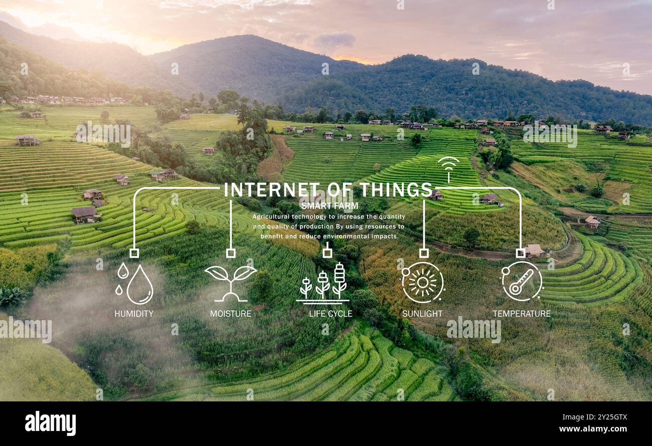 Agricoltura intelligente con tecnologia moderna per pratiche sostenibili. Allevamento di riso. Concetto di agricoltura intelligente. Agricoltura sostenibile. Agricoltura di precisione. Foto Stock