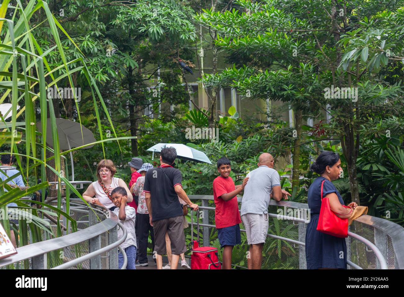I viaggiatori viaggiano da diverse diversità o nazionalità visitano Bird Paradise per vedere diversi uccelli. Una destinazione popolare da scoprire, Singapore. Foto Stock