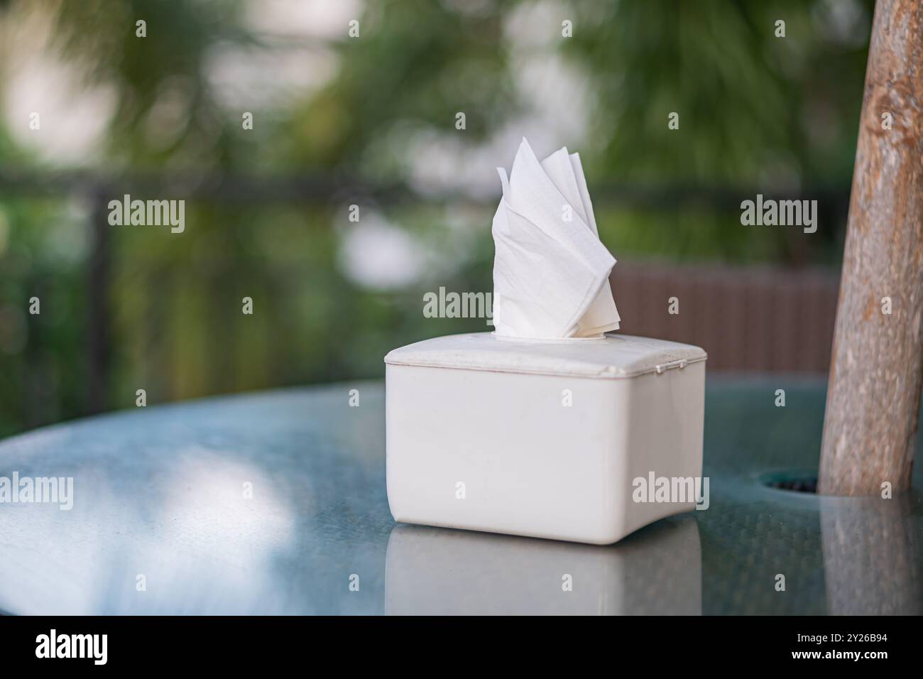 Una scatola bianca per tessuti con tessuti parzialmente estratti e collocata su un tavolo di vetro all'esterno. Lo sfondo presenta una vegetazione sfocata che crea un ambiente sereno Foto Stock