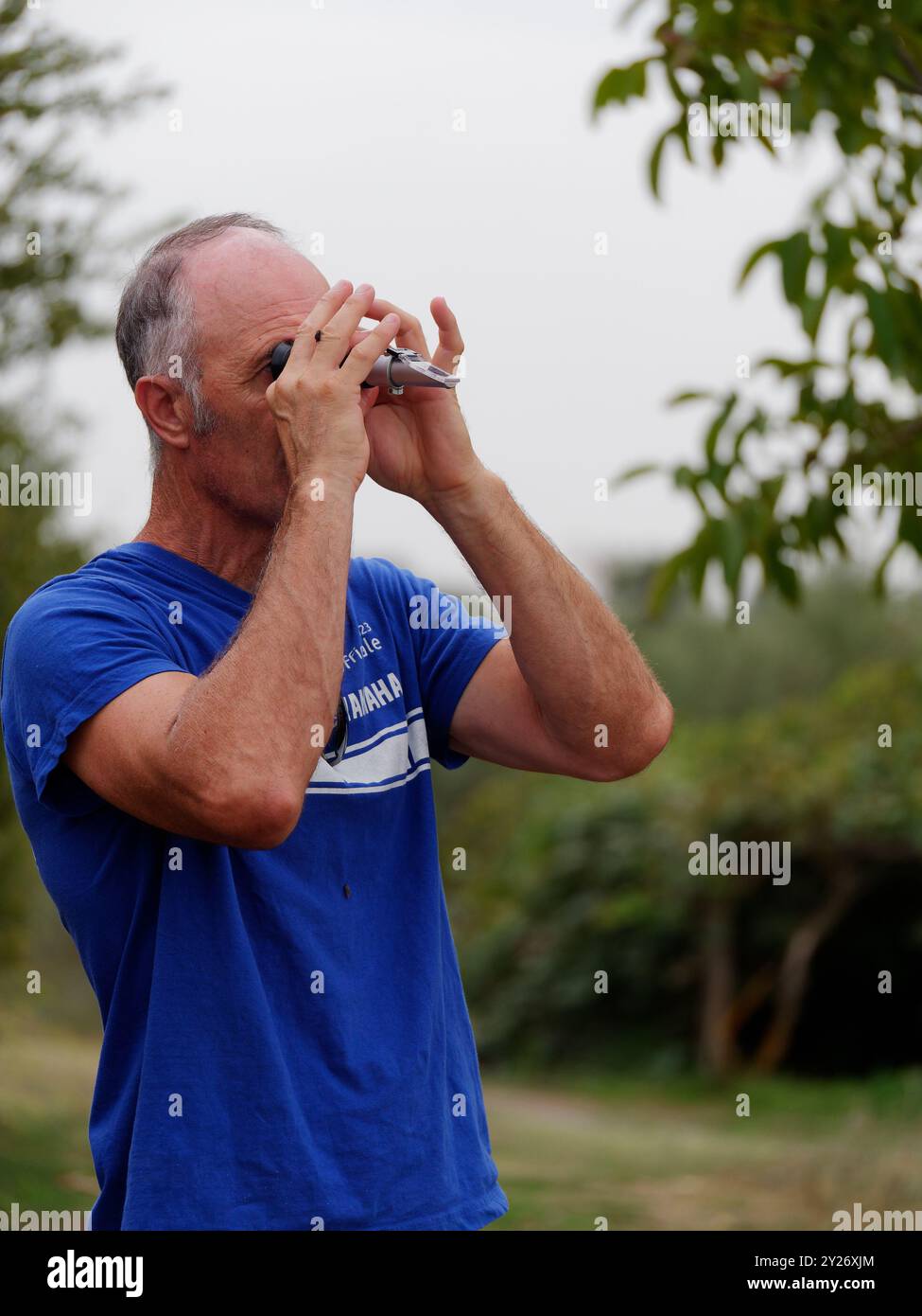 L'agricoltore utilizza un rifrattometro per verificare il tenore di zucchero delle uve prima della vendemmia a Montefiascone, regione Lazio, Italia. 8 settembre 2024. Foto Stock