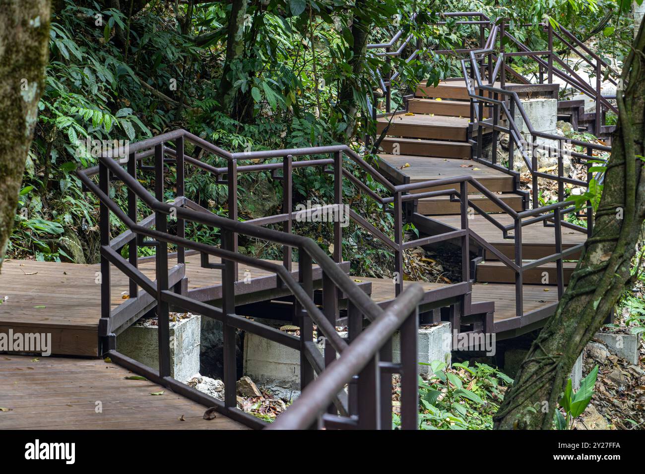 Un percorso tortuoso con scale in una foresta tropicale, la Thailandia Foto Stock