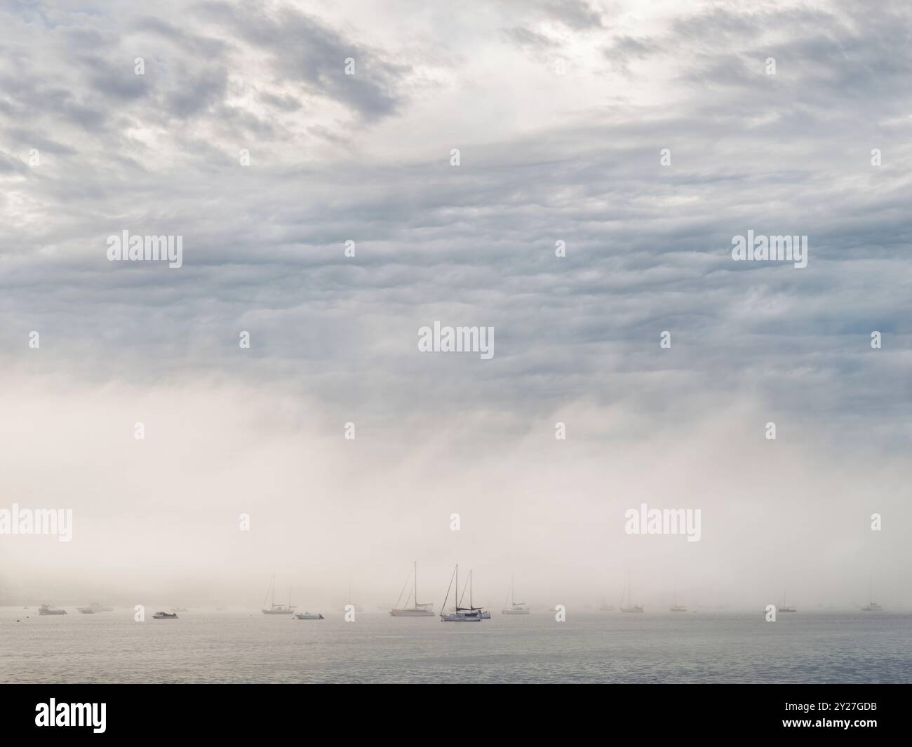 Appledore North Devon - subito dopo l'alba, una spessa sponda di nebbia rotola lungo l'estuario del fiume Torridge ad Appledore North Devon. Foto Stock