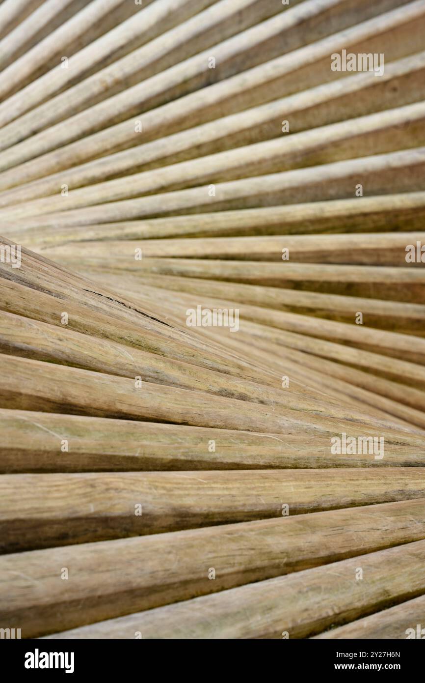 Geschwungene Holzstruktur im Sonnenlicht Foto Stock
