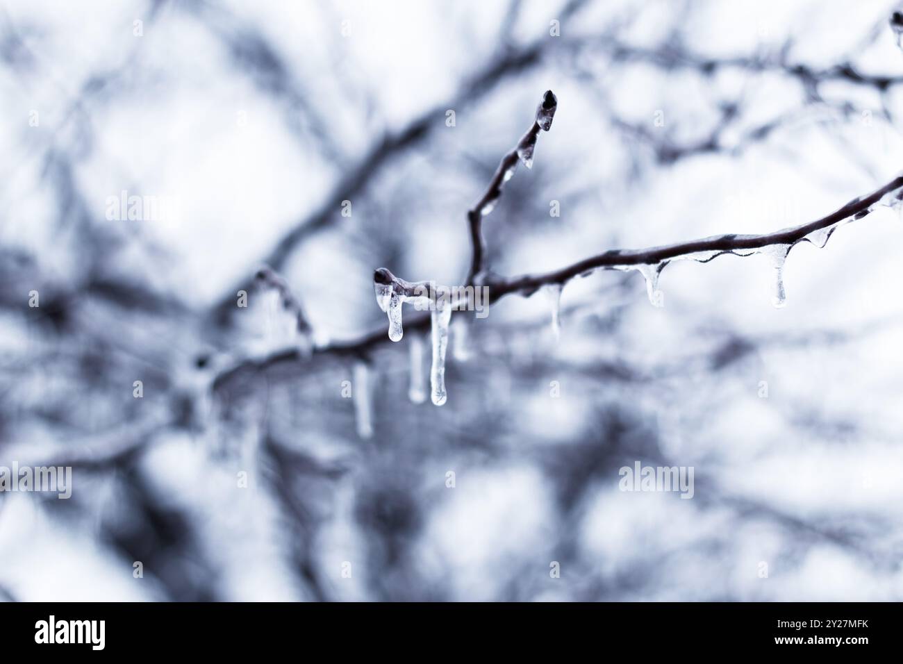 Tempo invernale nel Midwest Foto Stock