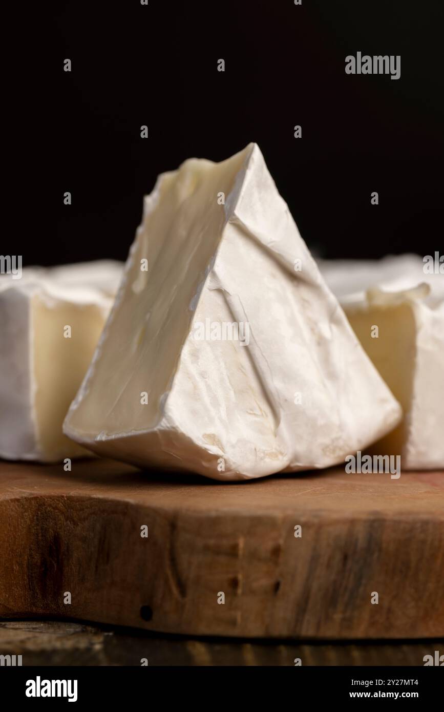 formaggio in muffa bianca, formaggio lavorato morbido con muffa bianca commestibile Foto Stock