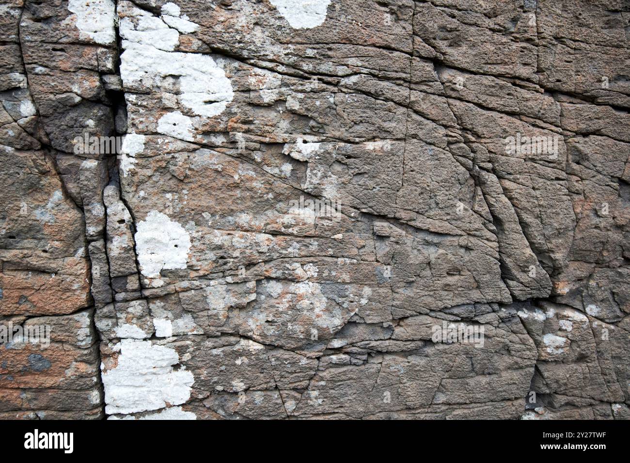 crepe e licheni sulla formazione di rocce basaltiche costa settentrionale irlanda del nord regno unito Foto Stock