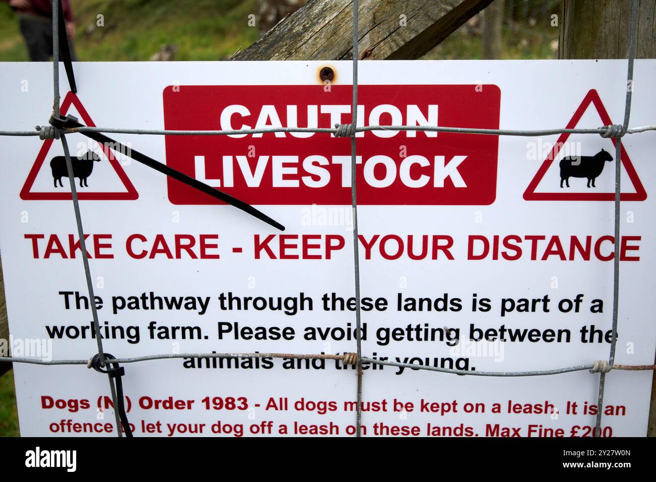 cartello di attenzione per il bestiame sui terreni agricoli con diritto pubblico di accesso a ulster way, costa nord, irlanda del nord, regno unito Foto Stock