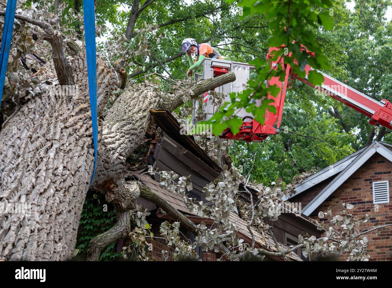 Detroit, Michigan - Una tempesta con raffiche di vento di 70 km/h ha fatto esplodere una cottonwood di 15 tonnellate e 110 piedi, danneggiando tre case nel quartiere di Morningside. Un doz Foto Stock