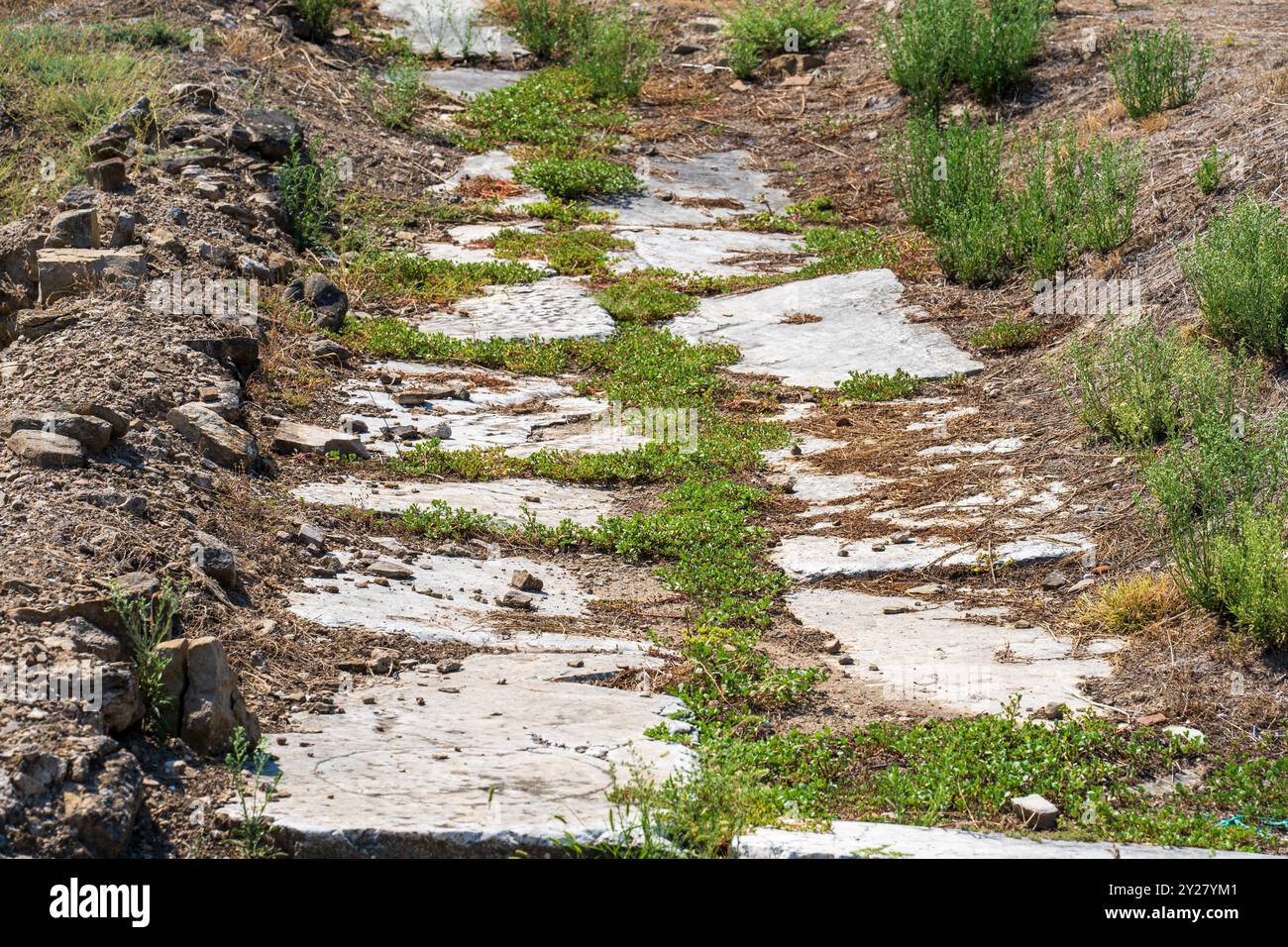 Vecchia strada in pietra con erba: Parte dell'antica città macedone Stobi (359 a.C.) - sito archeologico Foto Stock
