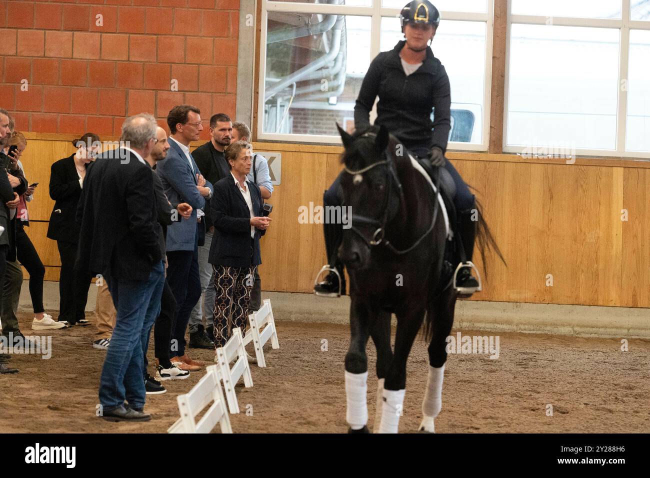 Rheinberg, Germania. 9 settembre 2024. Isabell WERTH, cavaliere del dressage e allevatore di cavalli, spiega l'addestramento con i cavalli, i dipendenti di Isabell WERTH si allenano con i cavalli, il primo ministro Hendrik Wuest visita la fattoria di allevamento di cavalli di Isabell Werth il 9 settembre 2024 a Rheinberg credito: dpa/Alamy Live News Foto Stock