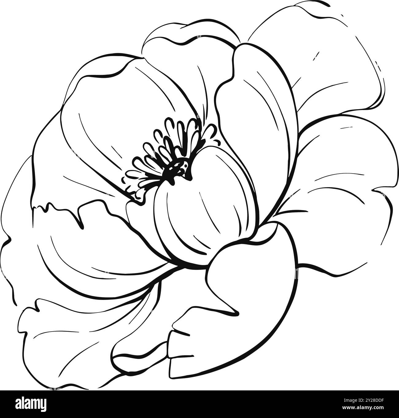 Peonie di rosa vintage, fiori primaverili per design, matrimonio, tessuti, biglietti d'auguri. Isolato. Elegante illustrazione botanica retrò. Vettore grafico Illustrazione Vettoriale Peonie di rosa vintage, fiori primaverili per design, matrimonio, tessuti, biglietti d'auguri. Isolato. Elegante illustrazione botanica retrò. Vettore grafico Illustrazione Vettoriale