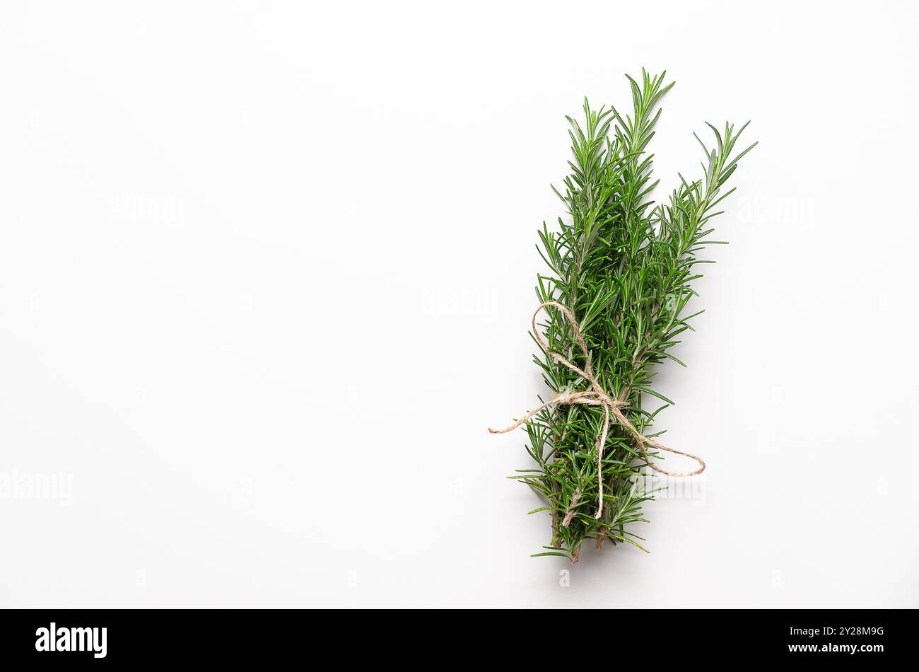 Un bouquet di rosmarino su sfondo bianco. Formato orizzontale e spazio di copia. Foto Stock