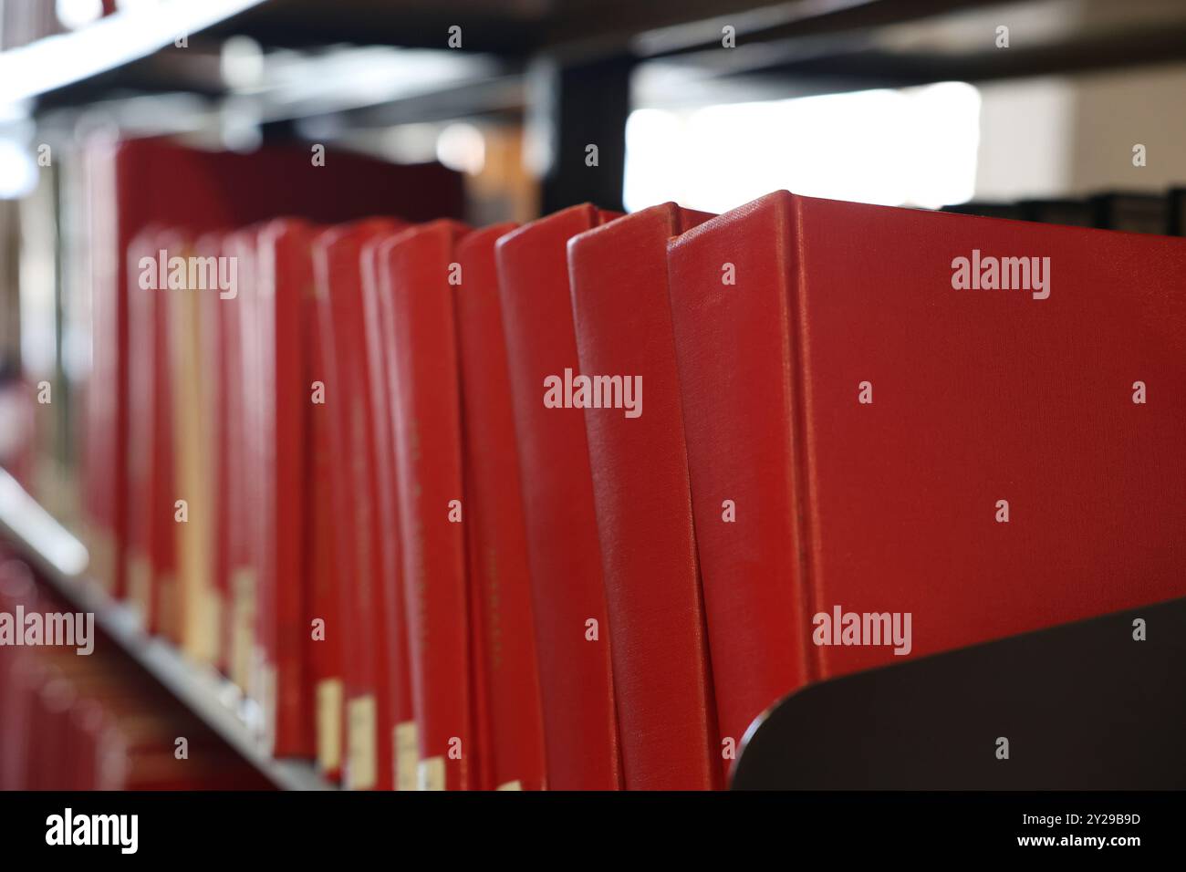 Immagine ravvicinata di una linea di libri di testo rossi vuoti su uno scaffale della libreria. Biblioteca scolastica, ricerca, istruzione o concetto di lettura. Serie tradizionale Foto Stock