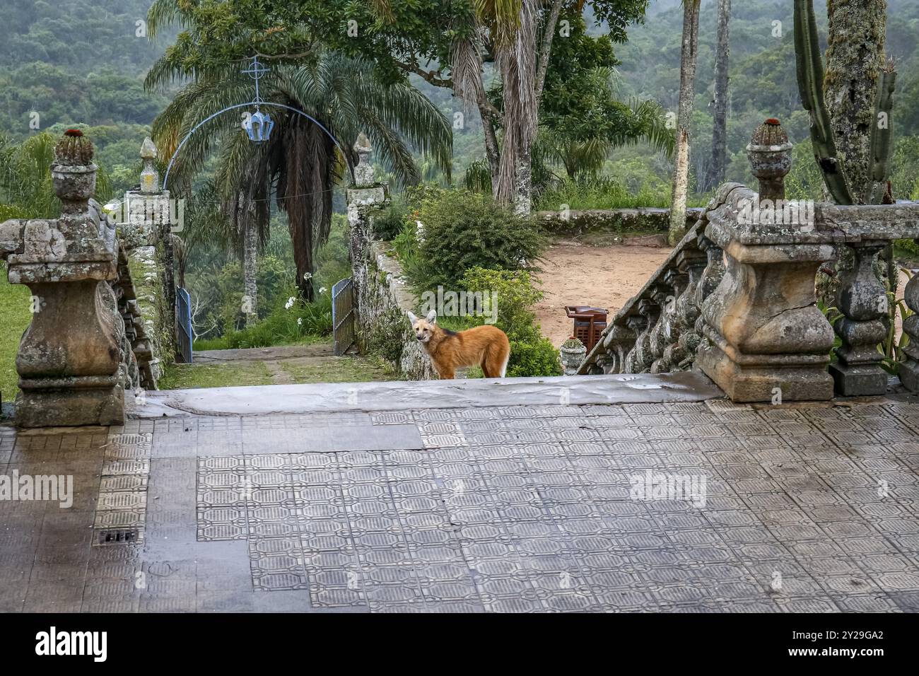 Lupo mannaro sulle scale che portano all'ingresso della chiesa del Santuario di Caraca, Minas Gerais, Brasile, Sud America Foto Stock