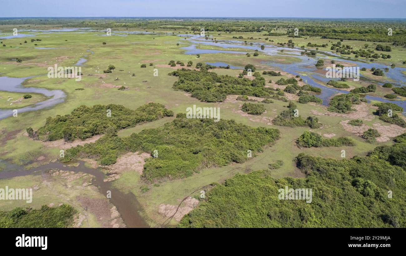 Veduta aerea del tipico paesaggio Pantanal con lagune, fiumi, prati e foreste, paludi Pantanal, Mato grosso, Brasile, Sud America Foto Stock