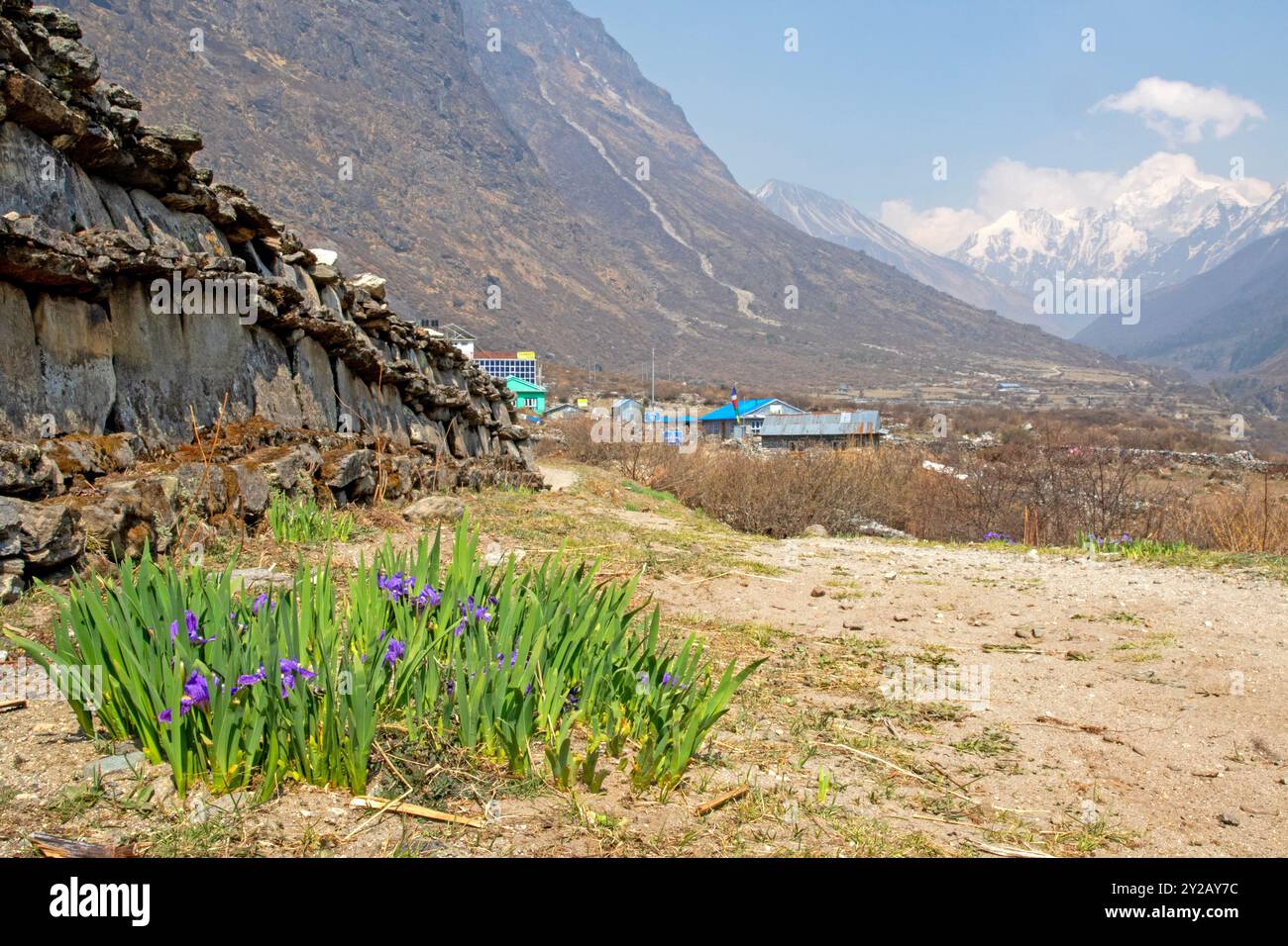 Muro mani nella Valle di Langtang Foto Stock