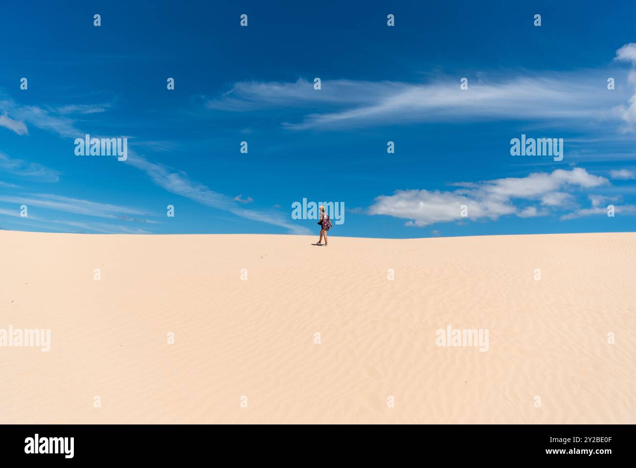 Viaggiatore femminile che cammina verso la cima delle dune di sabbia con un bel contrasto tra cielo nuvoloso e deserto giallastro pallido The Big Drift, Australia Foto Stock