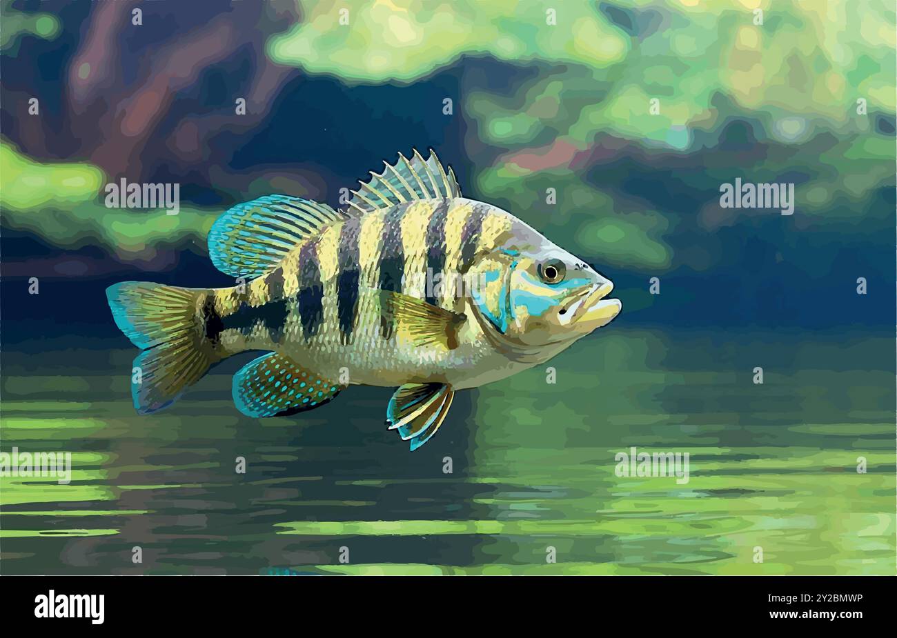 Esplora il mondo del Peacock Bass Fish, il predatore colorato del Sud America, conosciuto per la sua potenza e bellezza. Un must per i pescatori in cerca di trofei! Illustrazione Vettoriale