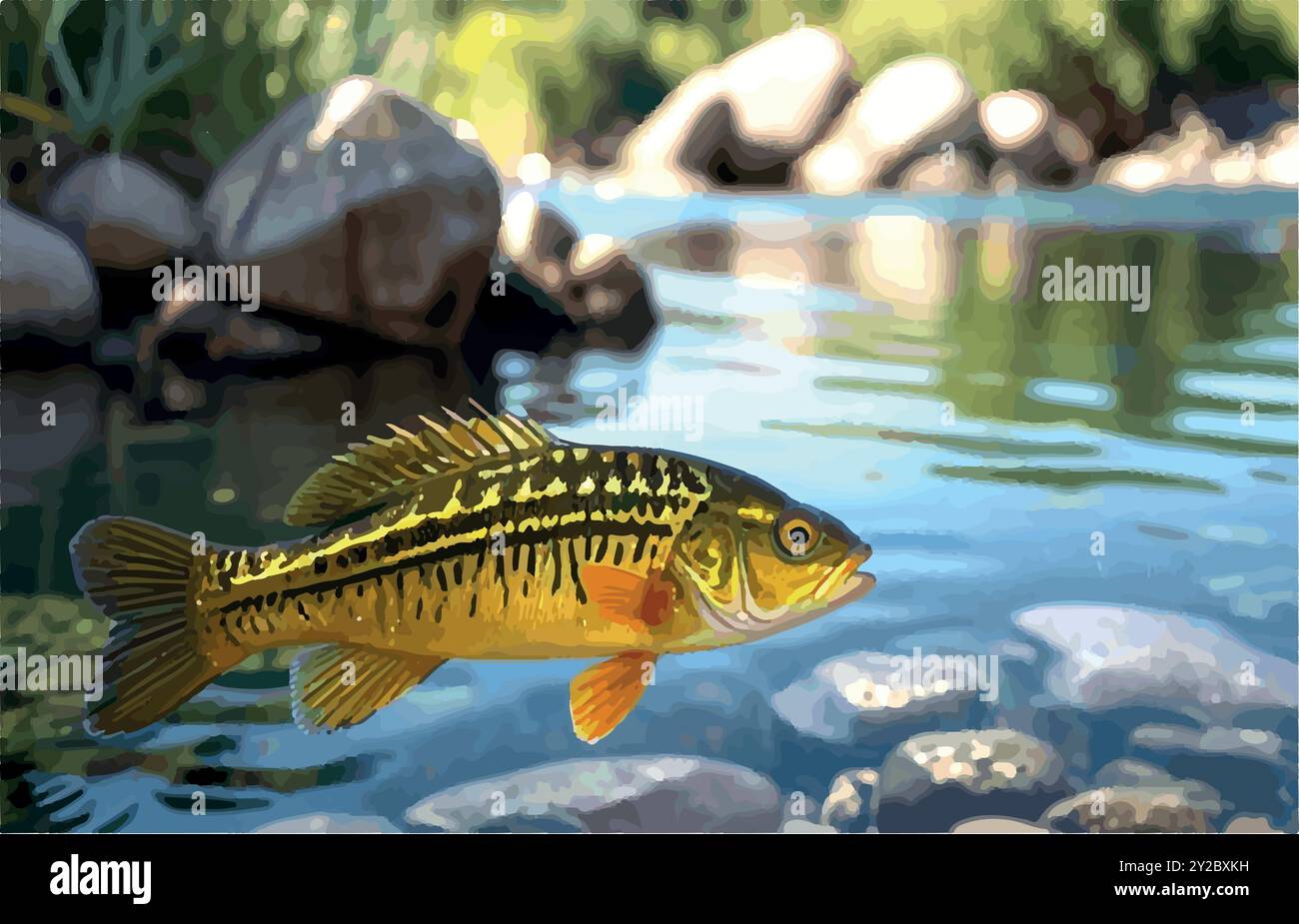 Esplora il mondo del Peacock Bass Fish, il predatore colorato del Sud America, conosciuto per la sua potenza e bellezza. Un must per i pescatori in cerca di trofei! Illustrazione Vettoriale