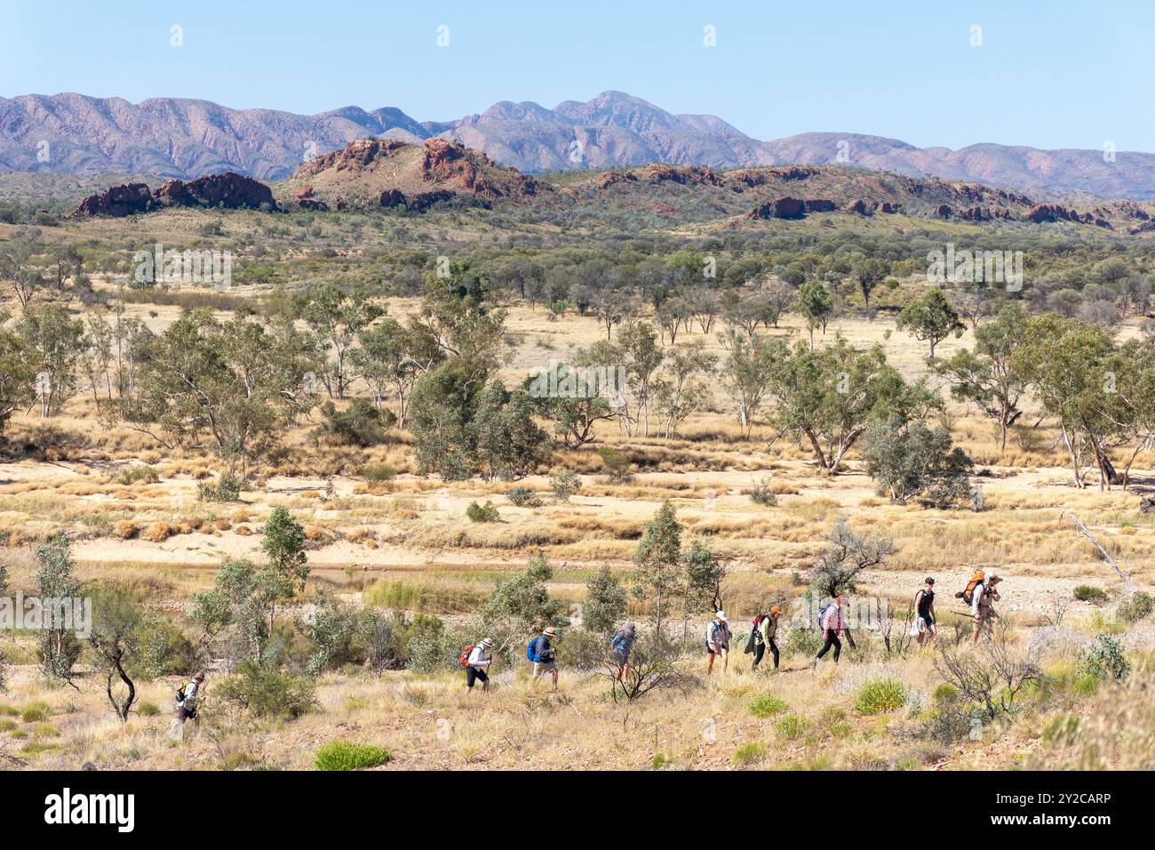 Gruppo escursionistico al Mt Sonder Lookout, Mount Zeil, West MacDonnell National Park (Tjoritja), Northern Territory, Australia Foto Stock