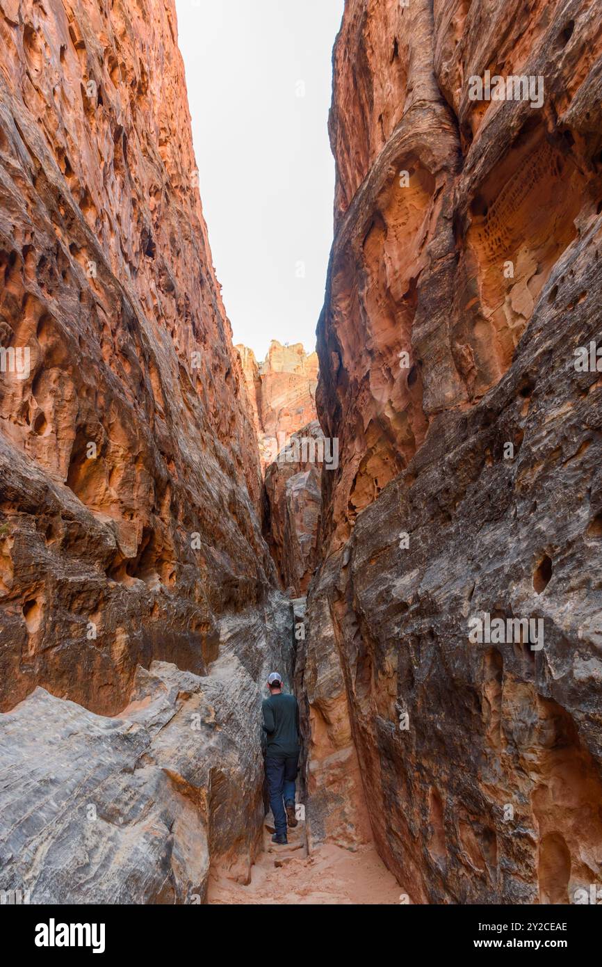 Un escursionista solitario naviga attraverso le strette e torreggianti pareti rocciose di un canyon a fessura laterale nel Cohab Canyon nel Capitol Reef National Park, Utah, USA Foto Stock