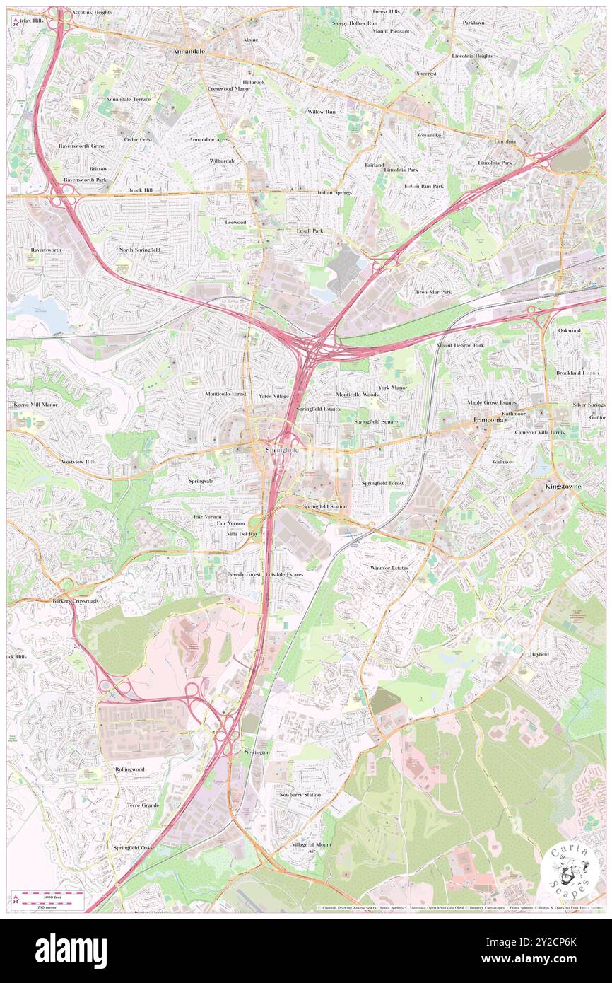 Springfield, Page County, Stati Uniti, Stati Uniti, Virginia, N 38 42' 16'', S 78 26' 46'', MAP, Cartascapes Map pubblicata nel 2024. Esplora Cartascapes, una mappa che rivela i diversi paesaggi, culture ed ecosistemi della Terra. Viaggia attraverso il tempo e lo spazio, scoprendo l'interconnessione del passato, del presente e del futuro del nostro pianeta. Foto Stock