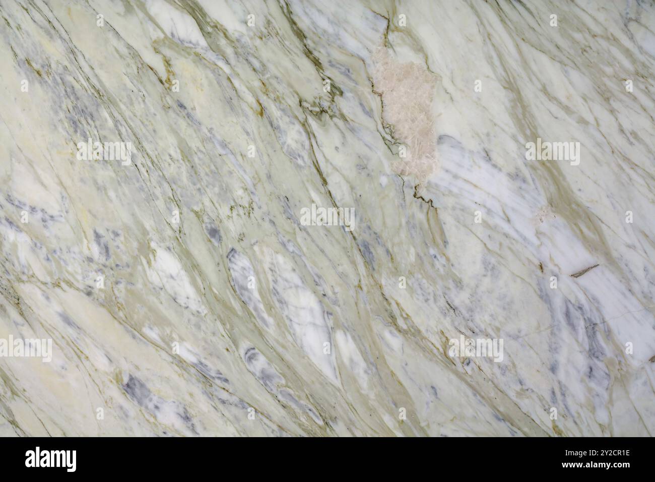 Struttura in marmo bianco con audaci venature verdi, ideale per progetti di interior design di lusso. Foto Stock