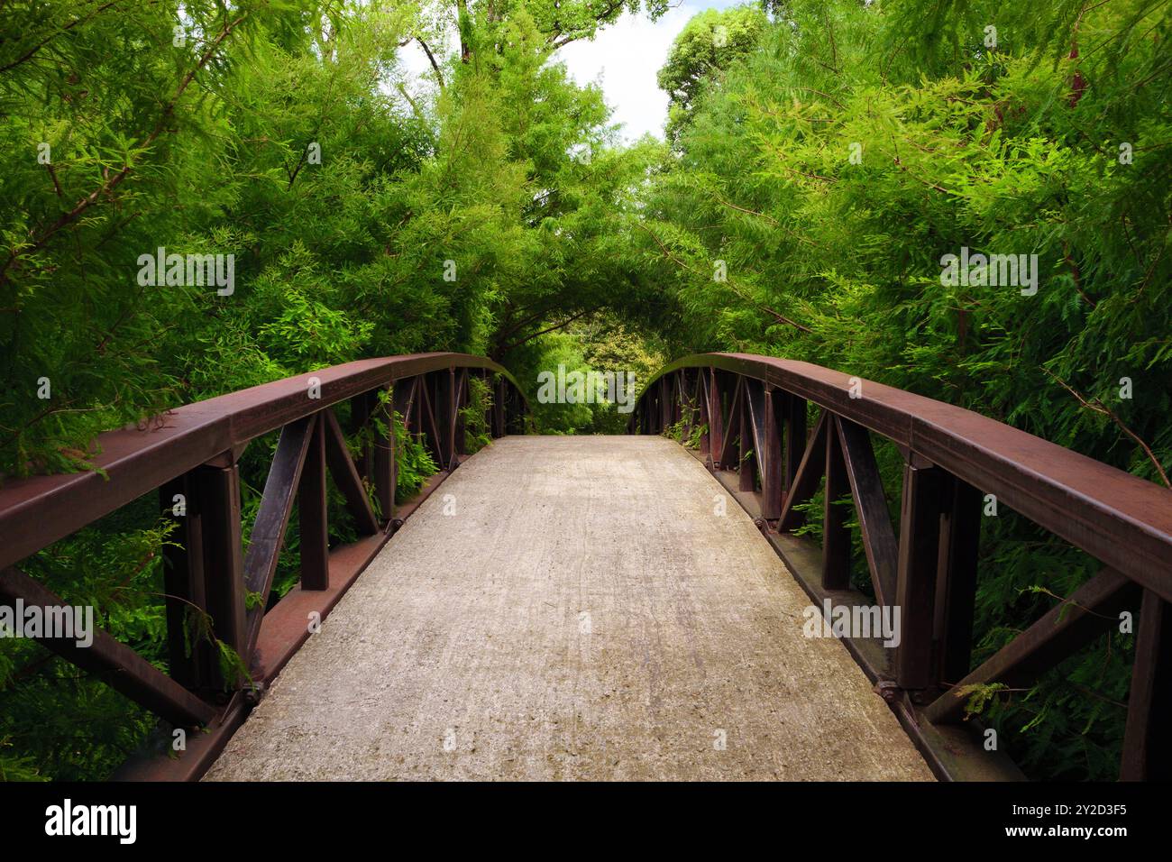 Un tranquillo sentiero in cemento conduce attraverso un ponte, avvolto da una vegetazione vibrante di alberi e arbusti, creando un'atmosfera serena nel parco, invitando i visitatori ad esplorare. Foto Stock