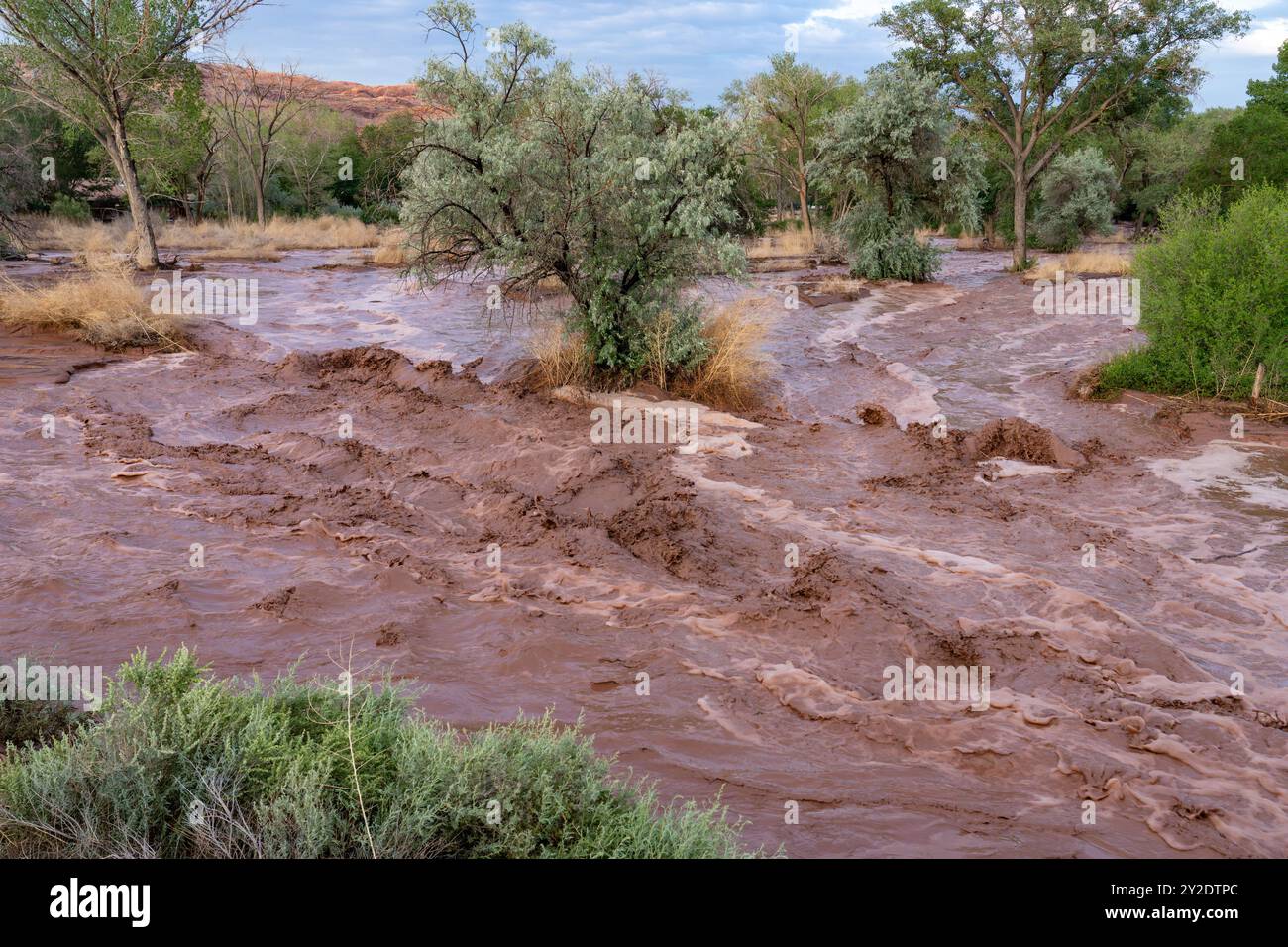 Inondazione di onde d'acqua fangosa dopo una tempesta di pioggia estiva a Moab, Utah. Foto Stock