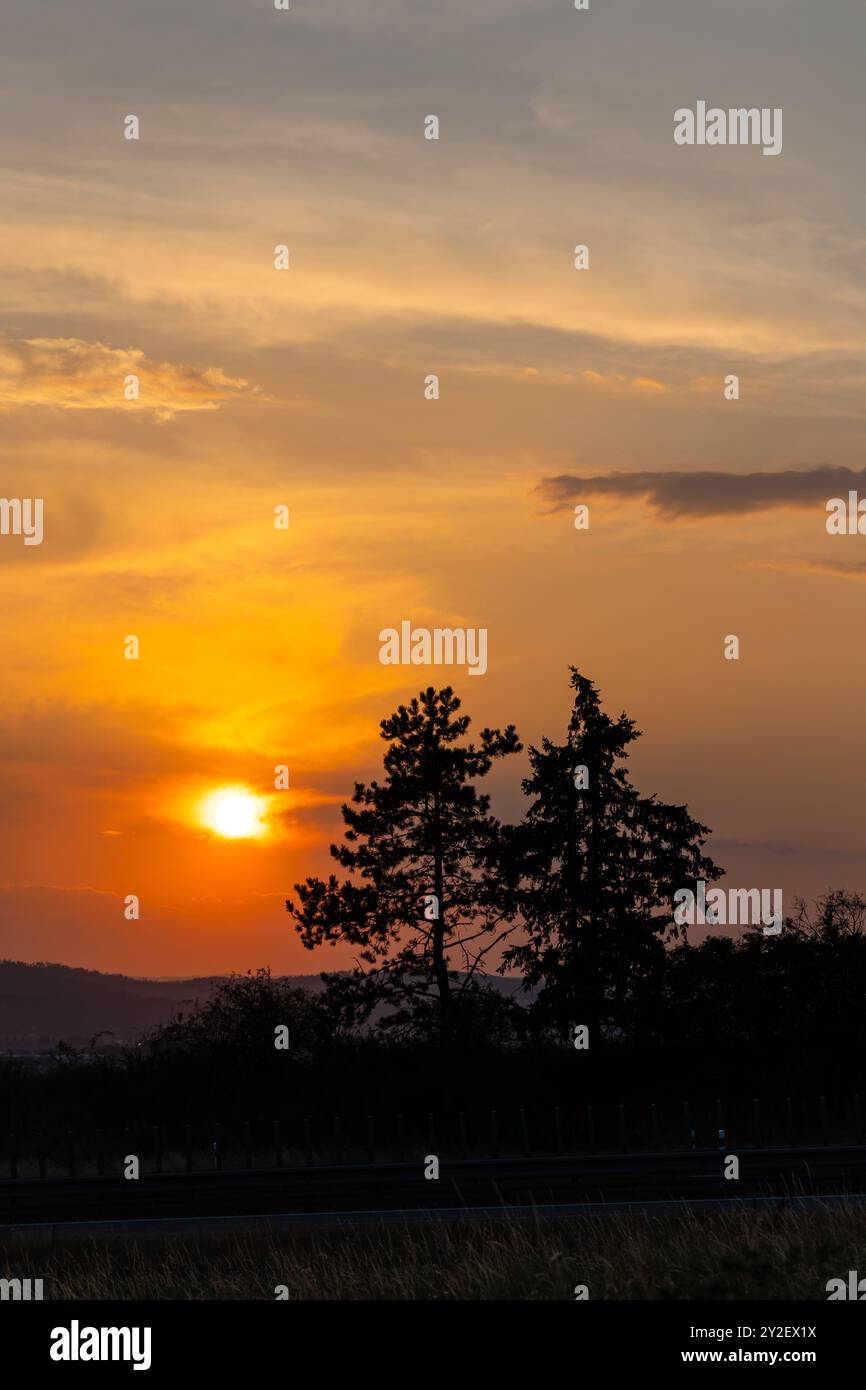 Il sole arancione del tramonto tramonta tra gli alberi sulla strada all'ombra. Cielo arancione spettacolare durante il susnset. Foto Stock