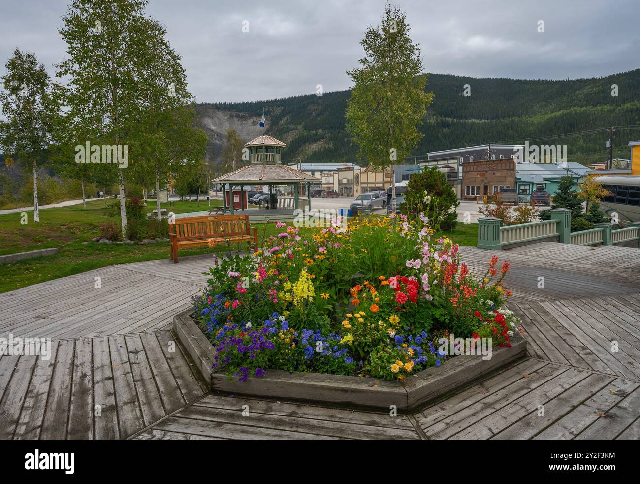 Fiori in un parco su Front Street a Dawson City, Yukon, Canada Foto Stock