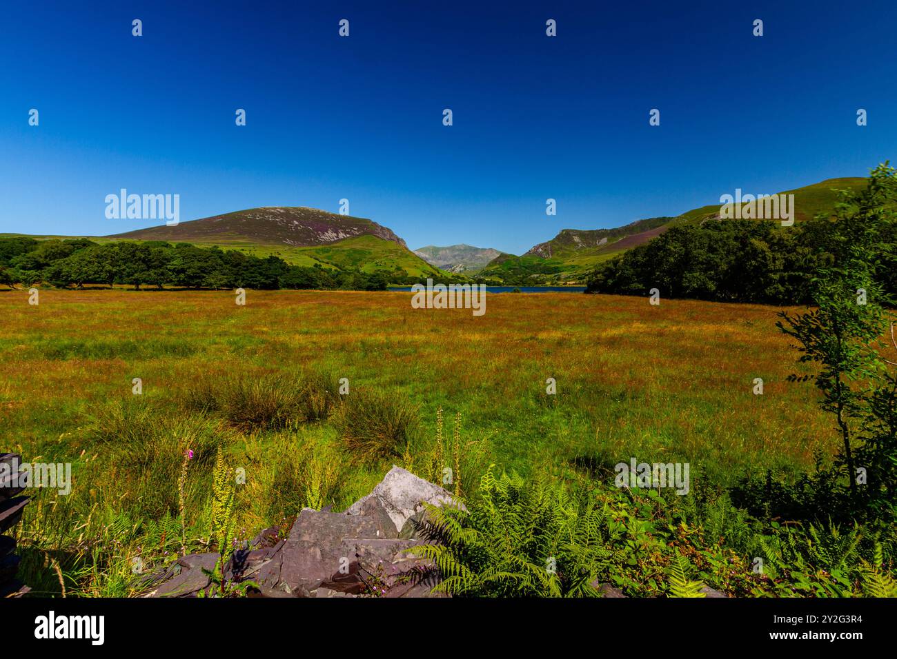 Splendida giornata con grandangolo da Nantlle che mostra la valle e Snowdon o Yr Wyddfa in lontananza. Snowdonia o Eryri National Park, Galles del Nord, Regno Unito Foto Stock