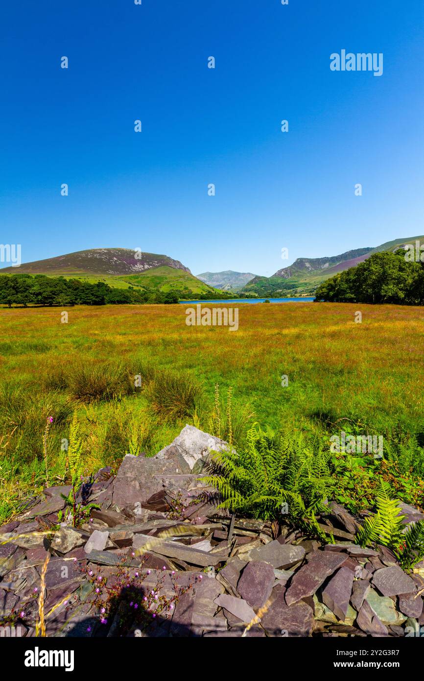 Splendida giornata con grandangolo da Nantlle che mostra la valle e Snowdon o Yr Wyddfa in lontananza. Snowdonia o Eryri National Park, Galles del Nord, Regno Unito, por Foto Stock
