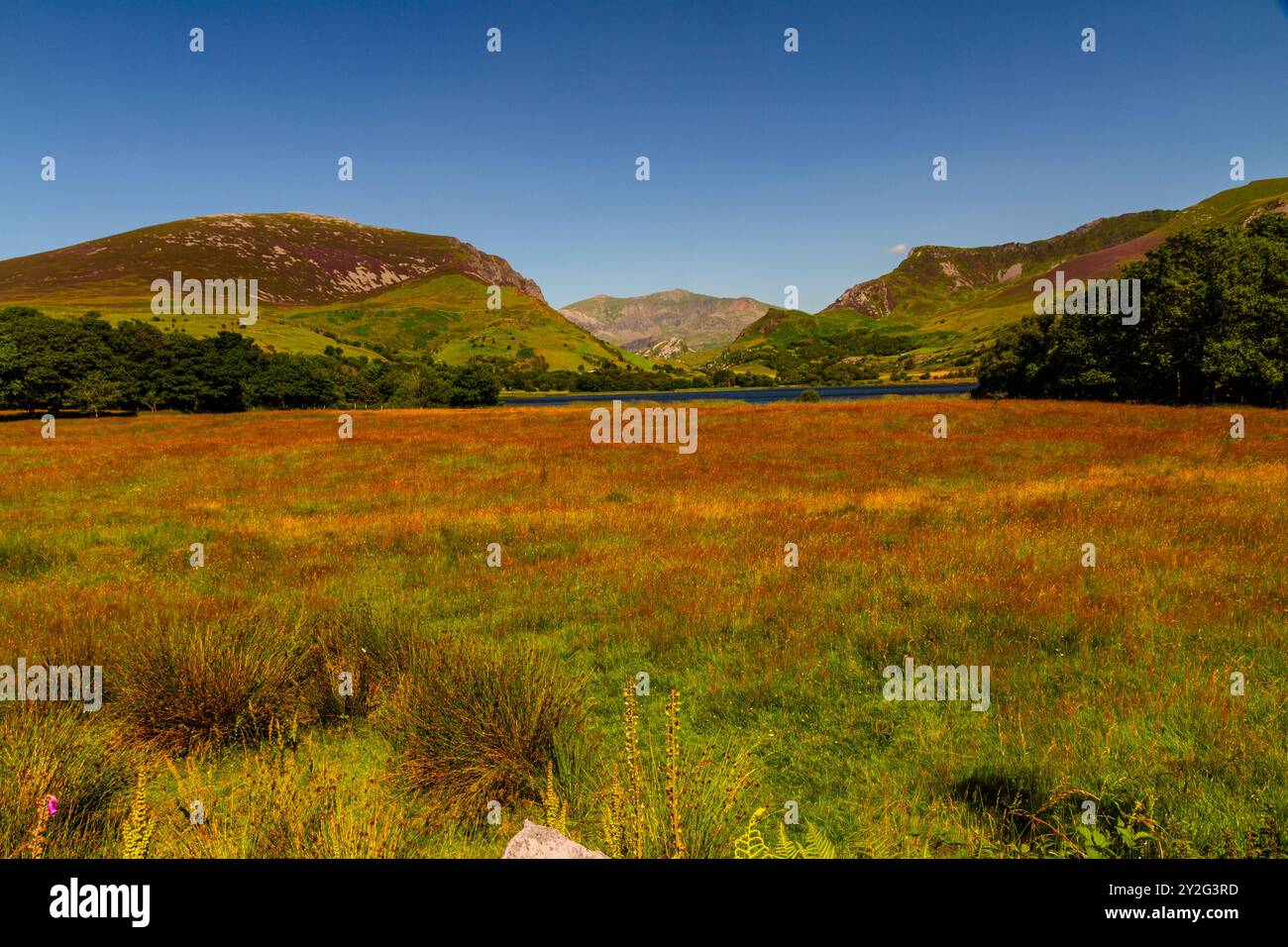 Bella giornata a Nantlle che mostra la valle e Snowdon o Yr Wyddfa in lontananza. Snowdonia o Eryri National Park, Galles del Nord, Regno Unito Foto Stock