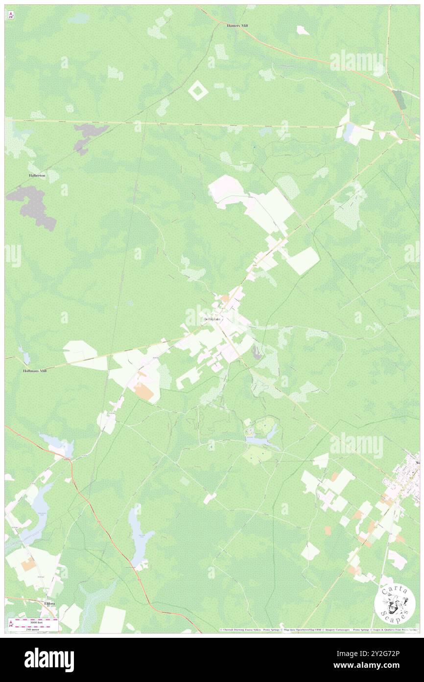 Belleplain, Cape May County, Stati Uniti, Stati Uniti, New Jersey, N 39 16' 7'', S 74 51' 59'', MAP, Cartascapes Map pubblicata nel 2024. Esplora Cartascapes, una mappa che rivela i diversi paesaggi, culture ed ecosistemi della Terra. Viaggia attraverso il tempo e lo spazio, scoprendo l'interconnessione del passato, del presente e del futuro del nostro pianeta. Foto Stock