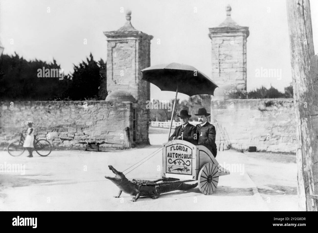 Governatore della Florida William Sherman Jennings (a destra) in un carro di alligatori vicino alle porte della città di St. Augustine, Florida, c1901. (USA) Foto Stock