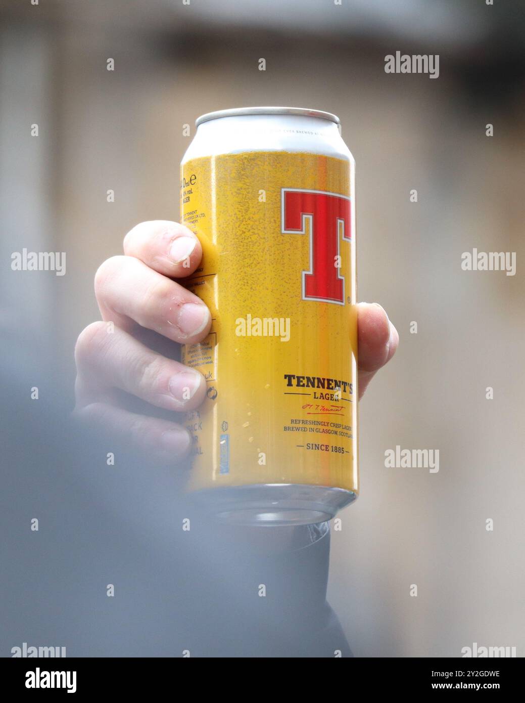 Mano che regge una lattina gialla Tennents Lager Beer Foto Stock