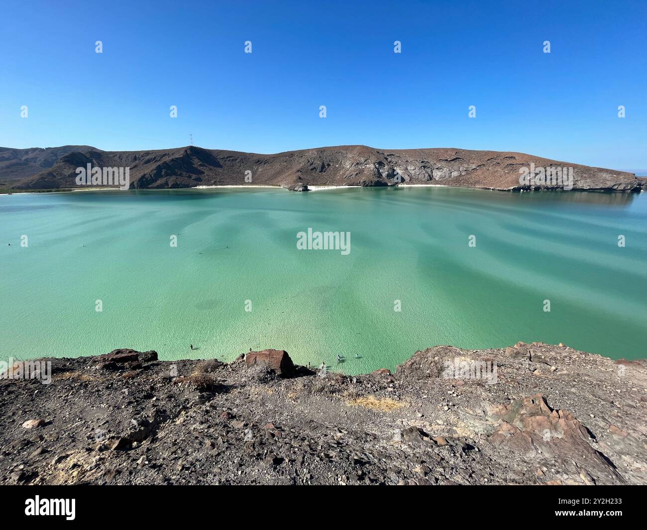 Foto della famosa playa Balandra a la Paz, BCS, Messico. Clearwater, sfumature di blu e verde. Un paradiso che vale la pena visitare. Foto Stock