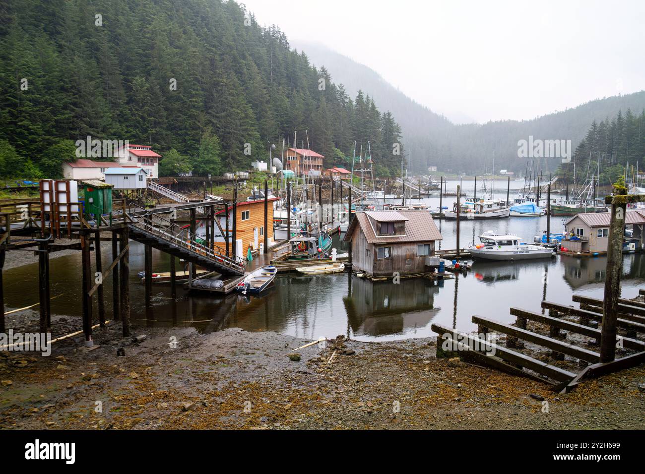 Vista dalla piccola cittadina di pescatori di Elfin Cove, Chichagof Island, sud-est dell'Alaska, USA. Foto Stock