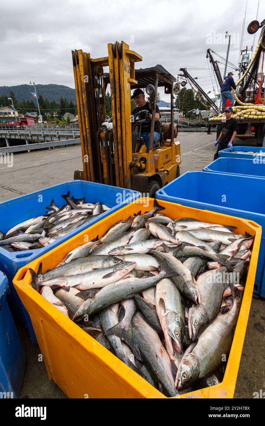 Viste dalla città di pescatori di Petersburg sull'isola Mitkof, Alaska sud-orientale, Stati Uniti, Oceano Pacifico. Foto Stock