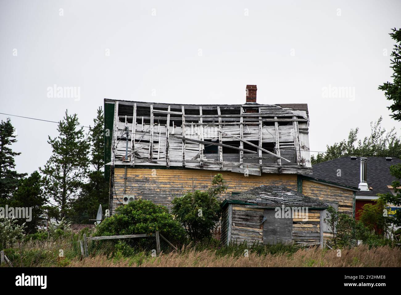 Camera superiore del fissatore a Dildo, Terranova e Labrador, Canada Foto Stock