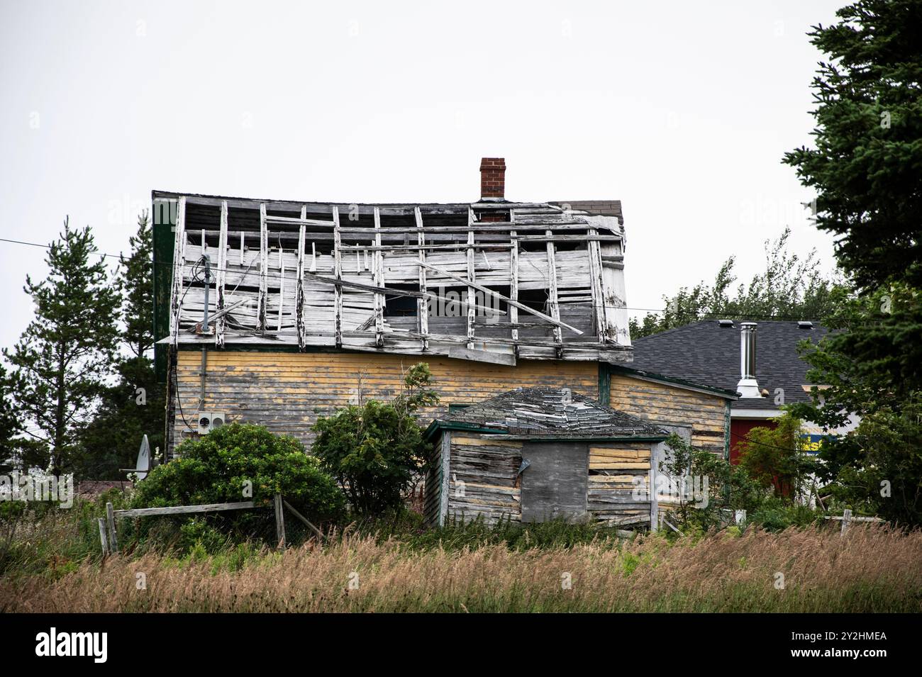 Camera superiore del fissatore a Dildo, Terranova e Labrador, Canada Foto Stock